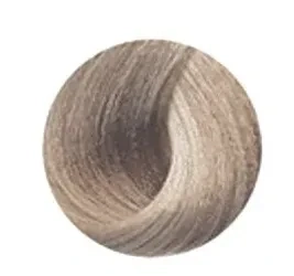 Black Farba na vlasy tónovacia T2 100ml